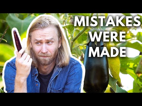 , title : 'How to Grow Perfect Eggplants Every Time - 5 MISTAKES to Avoid'