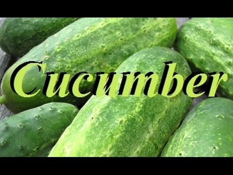 Malusog na nutrisyon programa para sa pagbaba ng timbang Jillian Michaels Mawalan ng Timbang sa 30 Days torrent download free