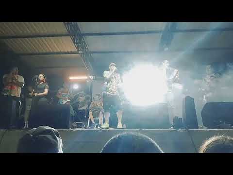 Buenavista sucre en vivo 