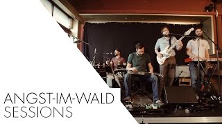 THE SOFT HILLS . phoenix (session)