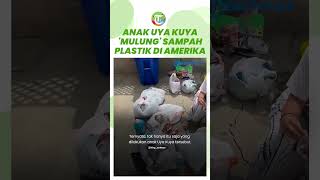 Lahir di Keluarga Kaya, Anak Uya Kuya, Cinta Kuya, Malah 'Mulung' Botol Plastik di AS, Ini Alasannya