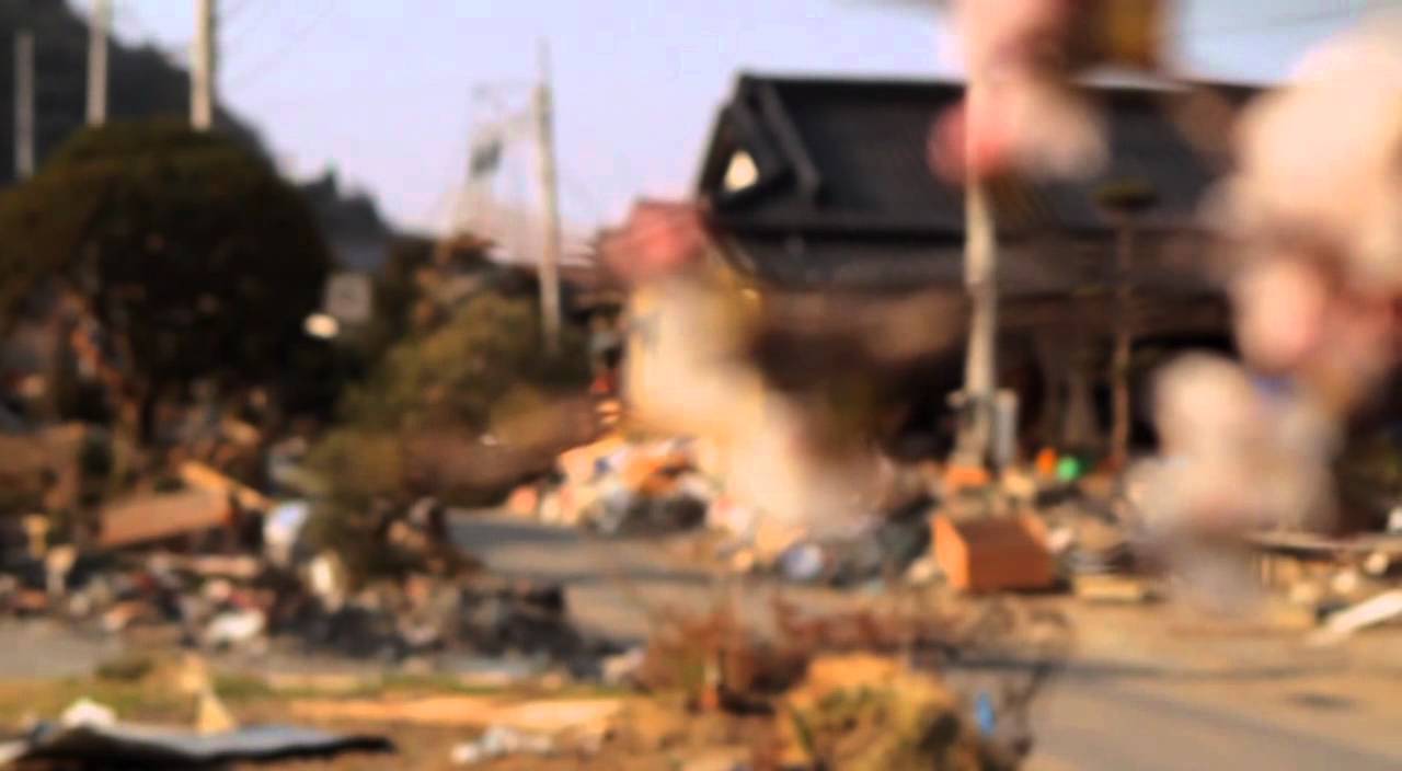 Birders: The Central Park Effect & The Tsunami and the Cherry Blossom - Trailer (HBO Docs)