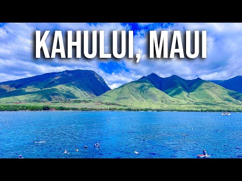 Kahului, Maui | Snorkeling Molokini Crater and Turtle Arches | Feb 16, 2025 | NCL: Pride of America