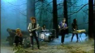 [問卦] 有美國蔡琴 Cyndi Lauper的八卦嗎