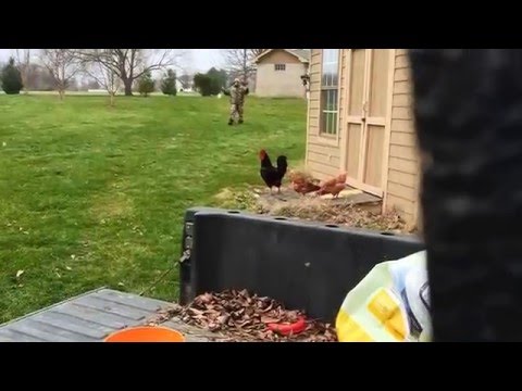 Greatest freak out ever 33 (ORIGINAL VIDEO)