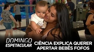 Miniatura do vídeo