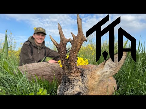 Dream bucks with TTA hunting trips