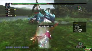 [MHFZ]双剣新装備deナルガクルガ