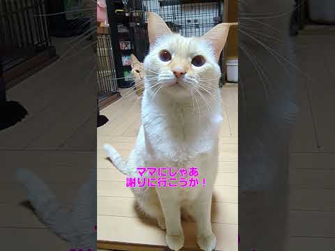 ママに怒られた💦レック