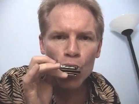 blues harmonica tone and vibrato
