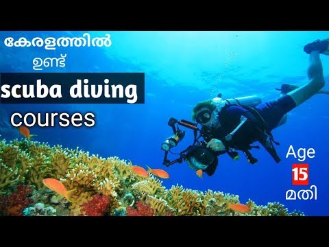 download lagu mp3 mp4 Scuba Diving Course In Kerala, download lagu Scuba Diving Course In Kerala gratis, unduh video klip Scuba Diving Course In Kerala