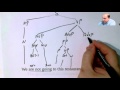 Tree Diagramming Practice 1