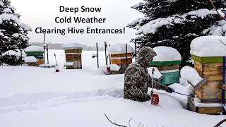 Clearing Snow from Bee Hive Landing Boards, Hive Visor Benefits, Entrance Clearing Tool and more.