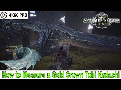 Monster Hunter: World - How to Measure a Gold Crown Tobi Kadachi Video