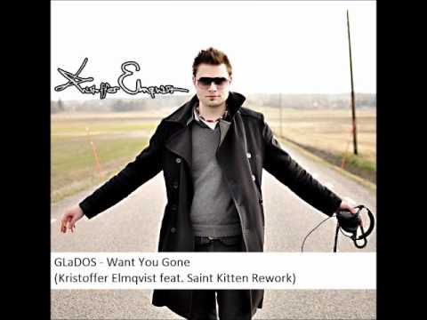[Portal 2 Remix] Want you gone (Kristoffer Elmqvist feat. Saint Kitten Rework)