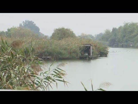Szegedi Hírek Átadták az összegyűjtött aláírásokat a Klebelsberg-telepiek. 2016.03.22.