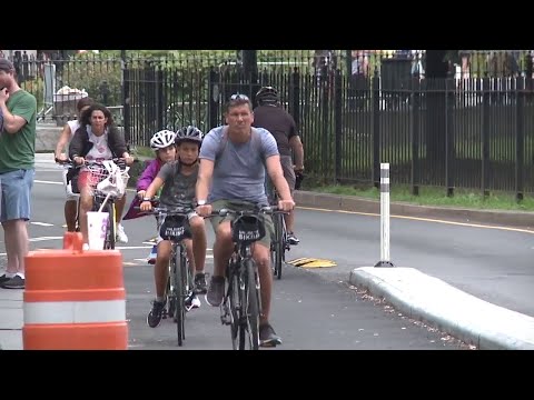 NYC Brooklyn Bridge & Bike Lanes