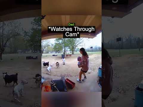 This Dad's Reaction Says It All