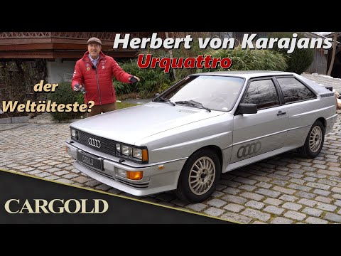 Cargold Youtube