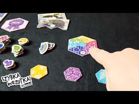 Szybka Wrzutka - Calico