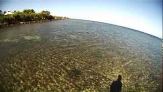 preview picture of video 'Roatan flyfishing 2012'