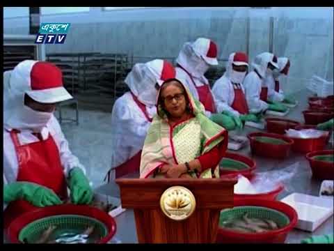 শিক্ষিত যুবসমাজকে চাকরীর পেছনে না ছুটে উদ্যোক্তা হবার আহবান প্রধানমন্ত্রীর