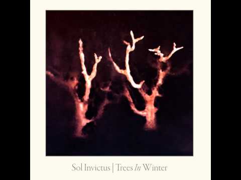 Sol Invictus - Media