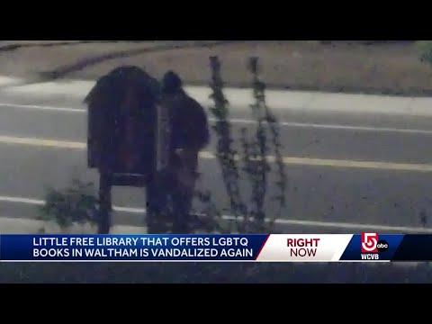 'Little Queer Library' targeted by vandals again