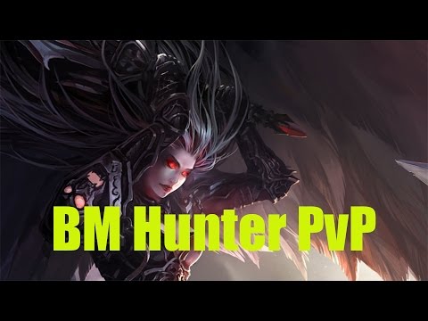 5.4.8 BM Hunter PvP - White Knights - Patch 5.4