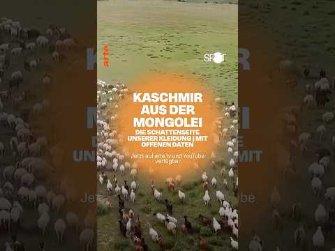 Video Thumbnail: Die Schattenseite von Kascmir | ARTE #shorts #kleidung