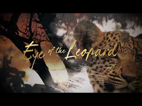 Thumbnail of the video: Eye of the Leopard - Trailer - Wildlife Films - National Geographic