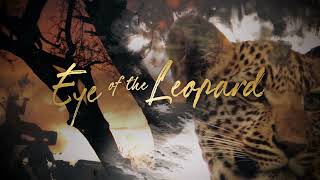 Eye of the Leopard - Trailer - Wildlife Films - National Geographic