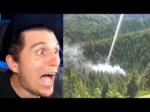 Paluten REAGIERT auf 1 in einer Billion Momente in der Natur