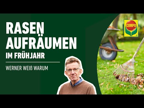 Rasen im Frühjahr aufräumen | COMPO