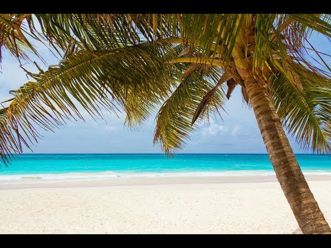 The Helicopters DJs - The Helicopters DJs - Classic Tropical House