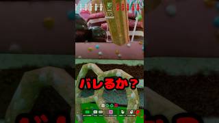 ❛ 飛散ペイントすらも最大限利用した結果… ❜