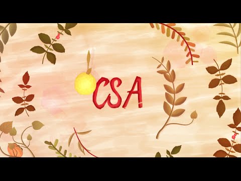 www.youtube.com/watch?v=CVZwCC7AtOE