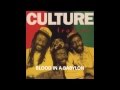 CULTURE  -  BLOOD IN A BABYLON