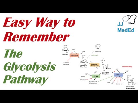 How to Remember the Glycolysis Pathway Intermediates and Enzymes | Mnemonic