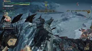 [MHWilds]自分記録用285