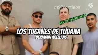 Los Tucanes de Tijuana - Benjamin Arellano🌲