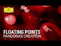 Floating Points - Movement 5: Pandora's Creation (Official Music Video)