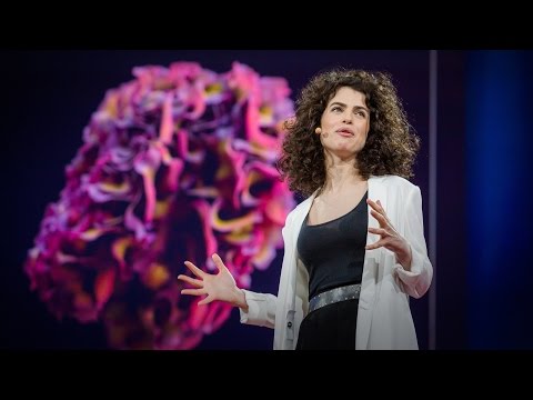 , title : 'Design at the Intersection of Technology and Biology | Neri Oxman | TED Talks'