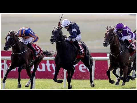 Donnacha and Joseph O'Brien best their father with sensational Irish Derby win