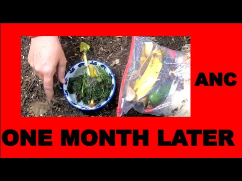 Worm compost Vermi Bag with with African Night Crawlers