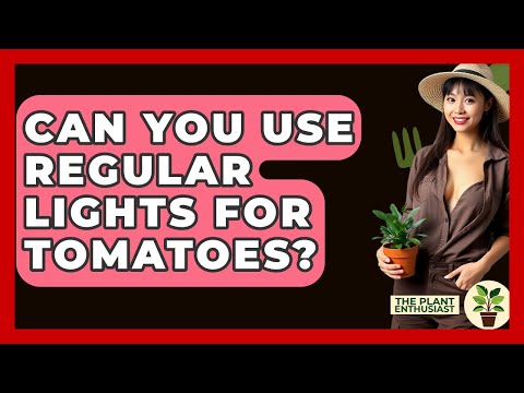 Can You Use Regular Lights For Tomatoes? - The Plant Enthusiast