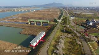 大河津分水　日本さくら名所100選