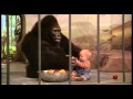 Baby S Day Out 19942
