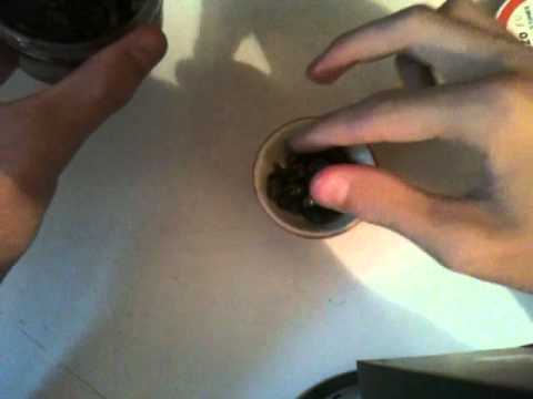 comment remplir vase chicha