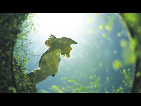 Portair - Starring (Official Video)